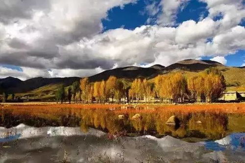 新疆旅游全攻略,最美景點(diǎn)最全記錄