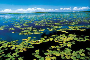 你的車除了用來上下班,還能做這件事 別錯(cuò)過機(jī)會(huì)